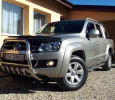 Volkswagen alt model 2011