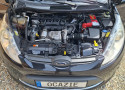 Ford Fiesta 2010