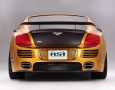 Tuning Bentley ASI Tetsu GTR