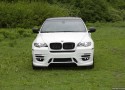 BMW X6 SUV Status Design