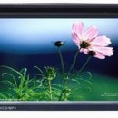 6.2" Multimedia Unit - DVD - DIVX / SD CARD/ USB / TV Tuner